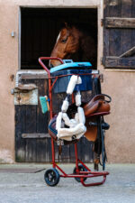 HIPPOTONIC Tack-Trolley - Image 7