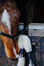 HIPPOTONIC Portable Saddle Stand - Image 4