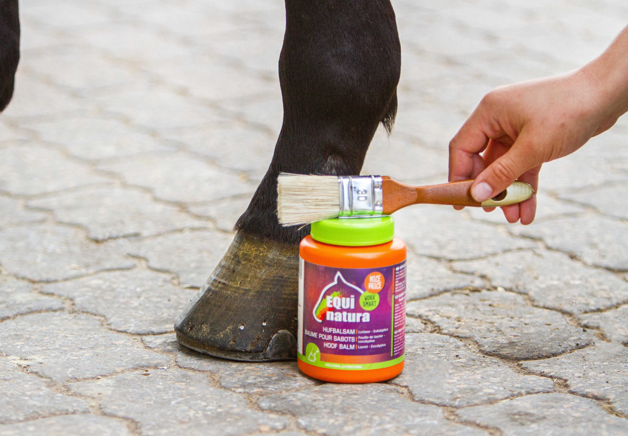 EQUINATURA Hoof Balm