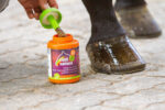 EQUINATURA hoof oil with brush - Image 6