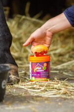 EQUINATURA Kühlgel - Image 7