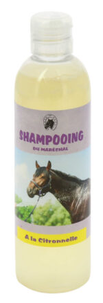 Lemongrass Shampoo ODM - Image 3