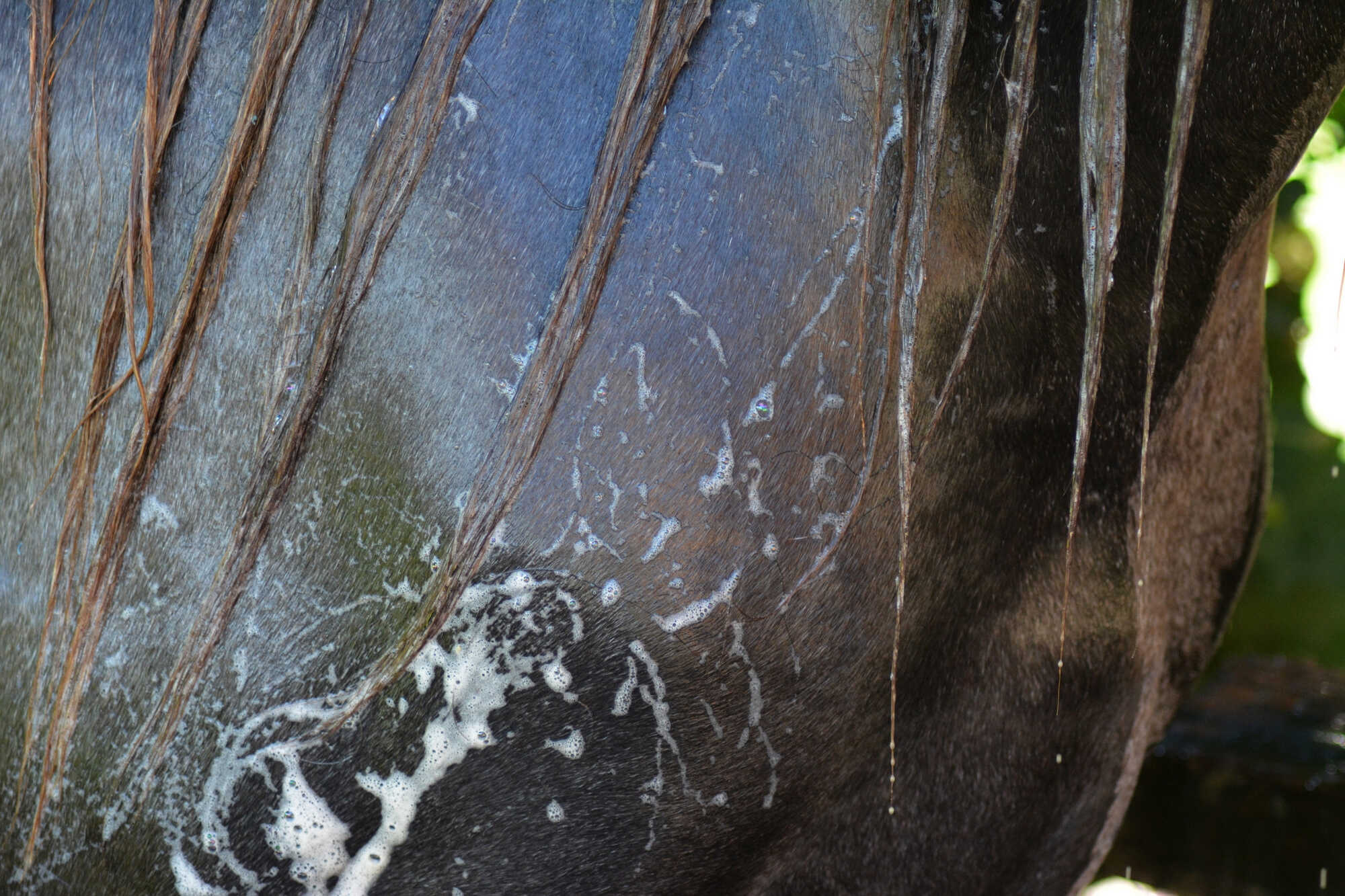 RAVENE Easy Shine Grau