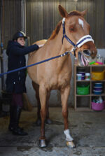 RAVENE Kinesyl - Image 4