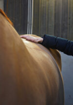 RAVENE Kinesyl - Image 7