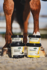 Pedigard RAVENE - Blonde Ointment - Image 6