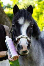 Aliment complémentaire ALODIS CARE - Help Cush - Image 10