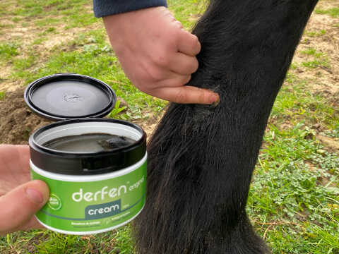 ANIMADERM Cream - DERFEN™ Original