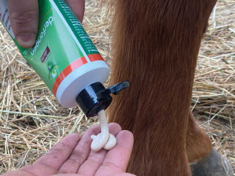 ANIMADERM Lotion - DERFONGEN™