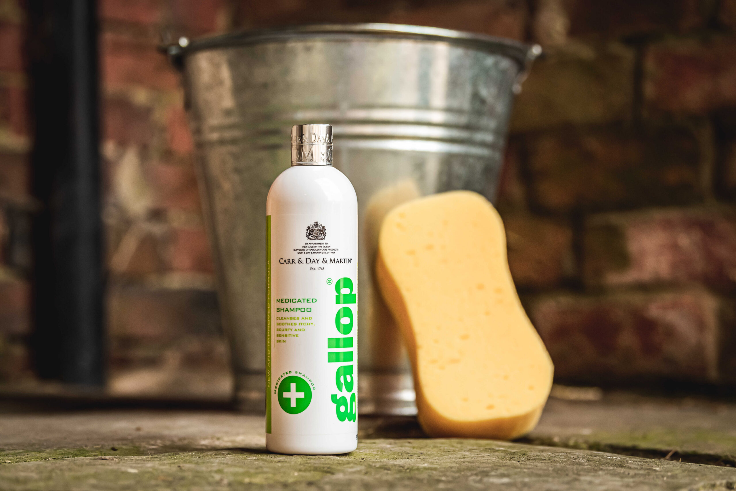 CARR & DAY & MARTIN Antibakterielles Shampoo Gallop®