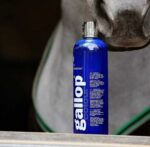 CARR & DAY & MARTIN Shampoo Gallop® Grau