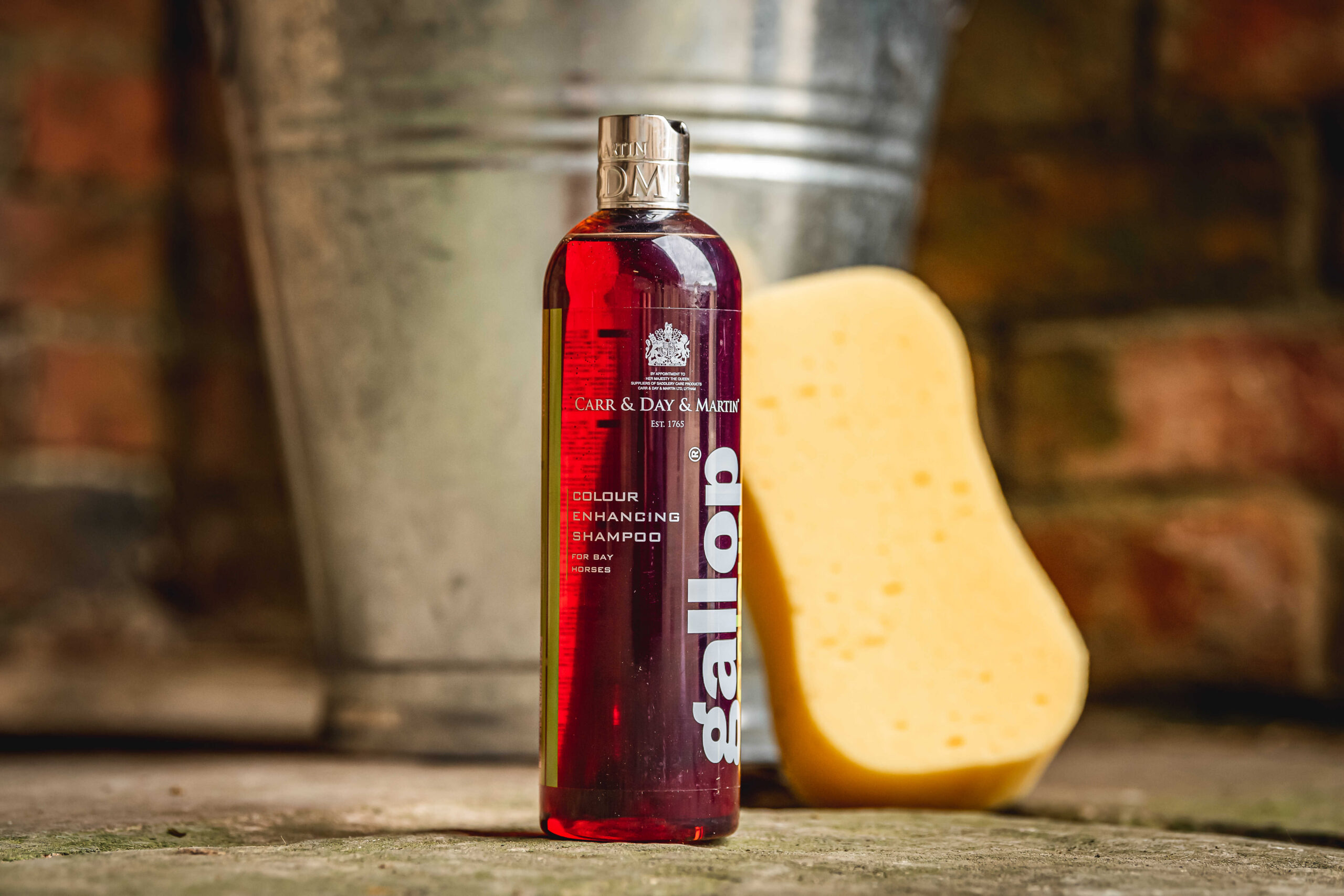 CARR & DAY & MARTIN Shampoo Gallop® Brauner
