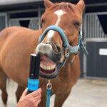 CARR & DAY & MARTIN - Wound Cream - Soothing Cream - Image 3