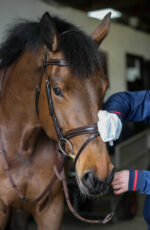 Belvoir® CARR & DAY & MARTIN Cleaning Gloves - Image 5