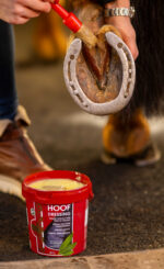 KEVIN BACON'S Hoof Dressing Original - Image 3