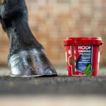 KEVIN BACON'S Hoof Dressing Black
