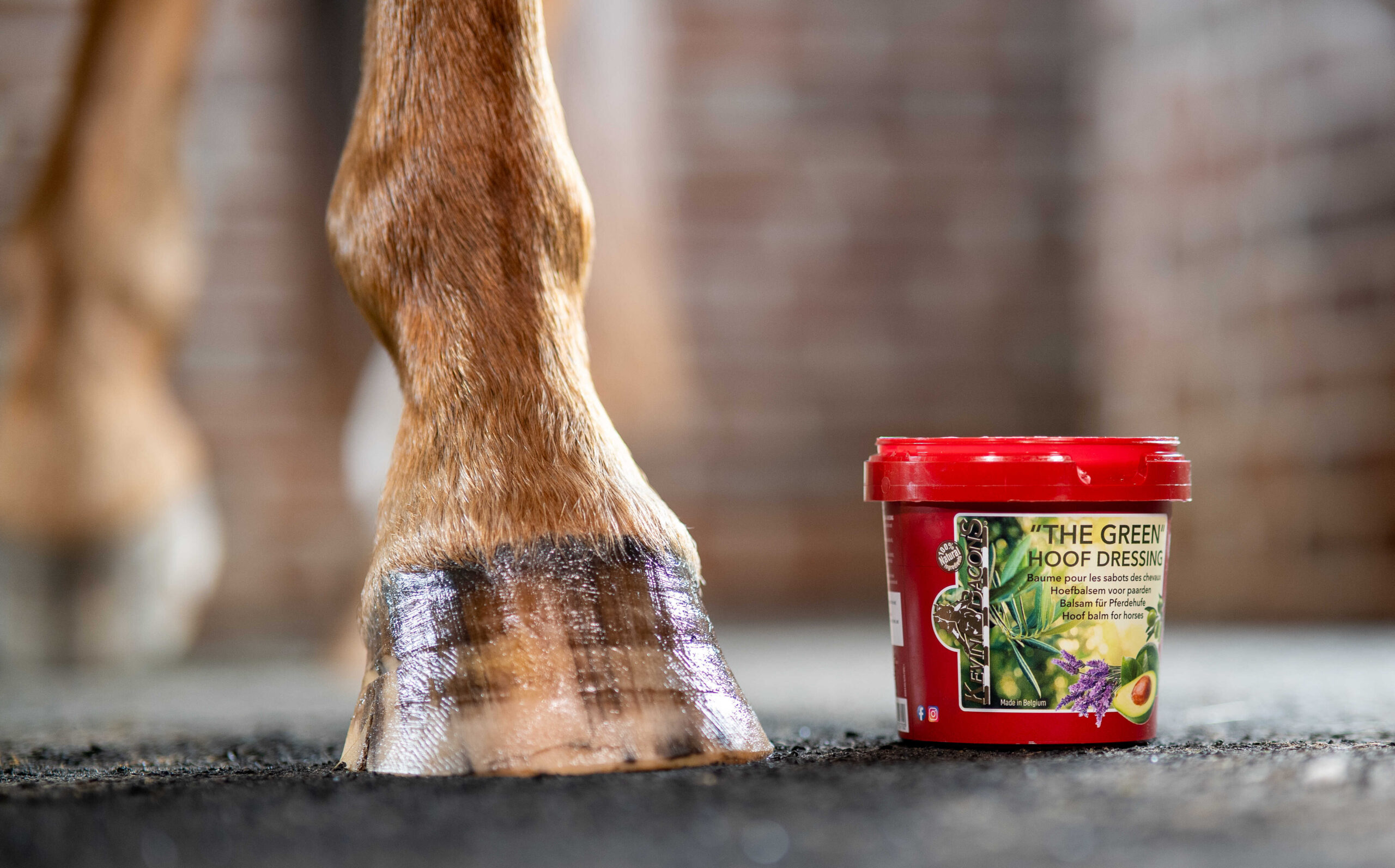 KEVIN BACON'S Hoof Balm - Hoof Dressing The Green