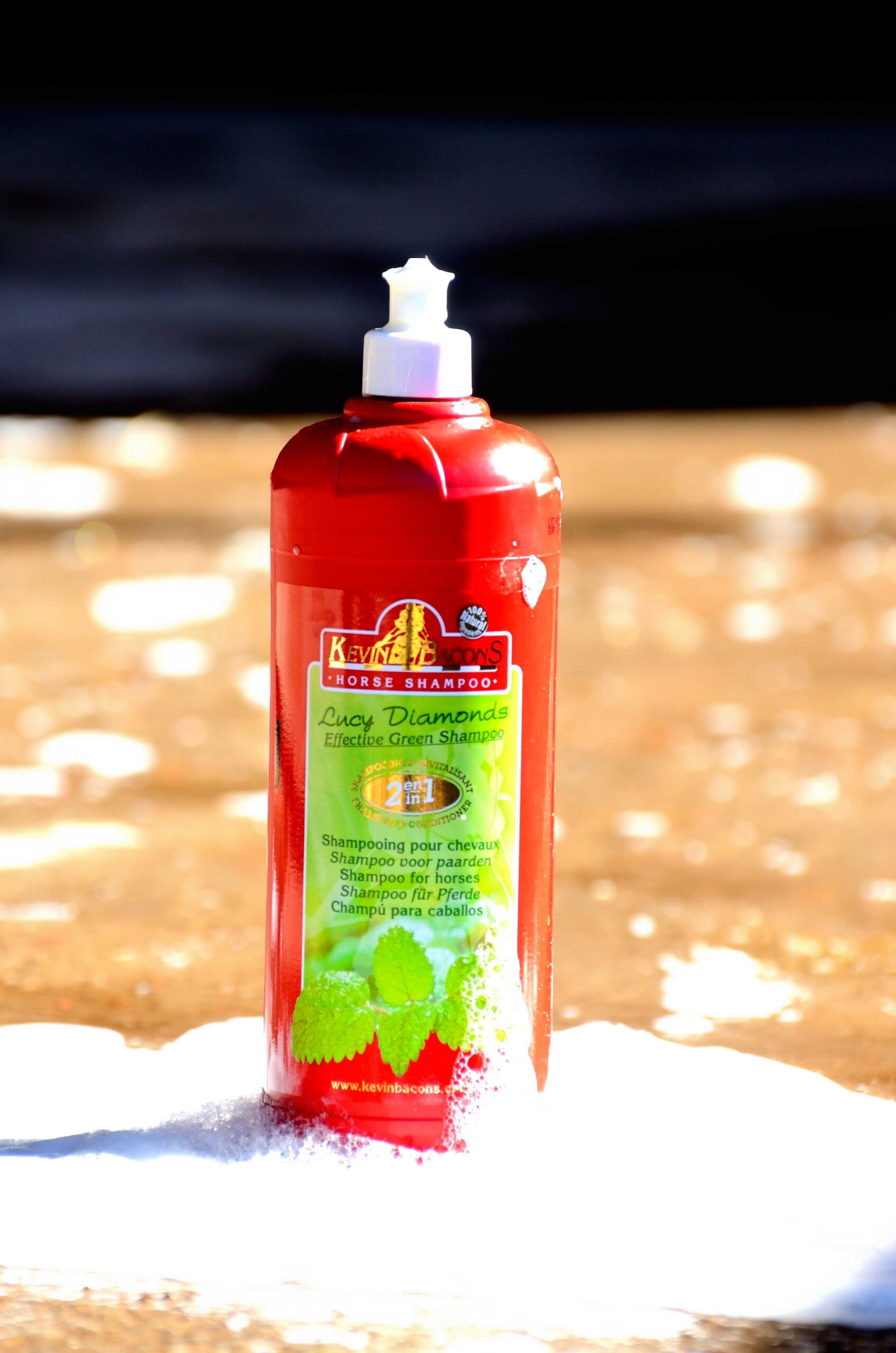 727009025_ambi_1 Shampoing KEVIN BACON'S - Lucy Diamonds - Image 1