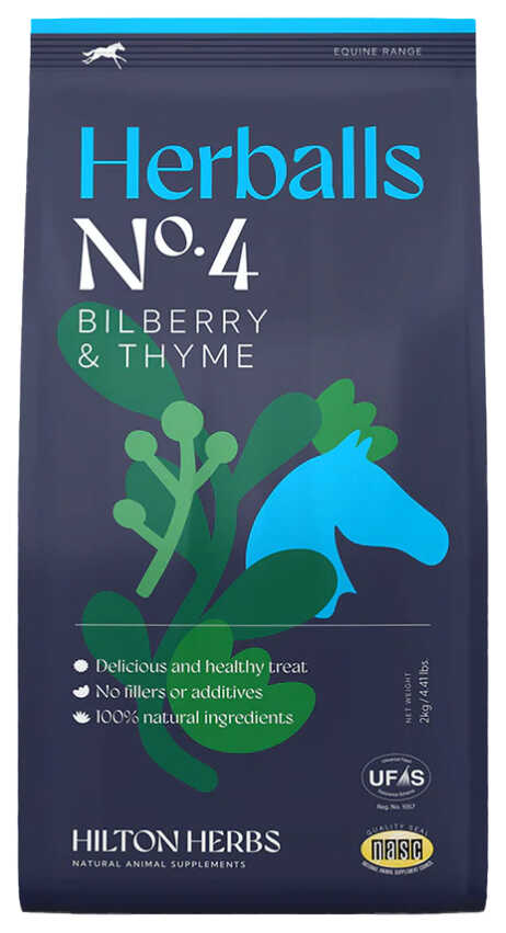 HILTON HERBS - Herbals - Blueberry & Thyme