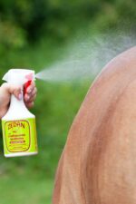 ZEDAN insect repellent lotion