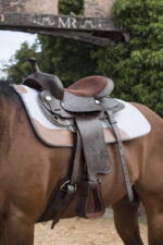 WESTRIDE Western saddle - Topeka - Image 12