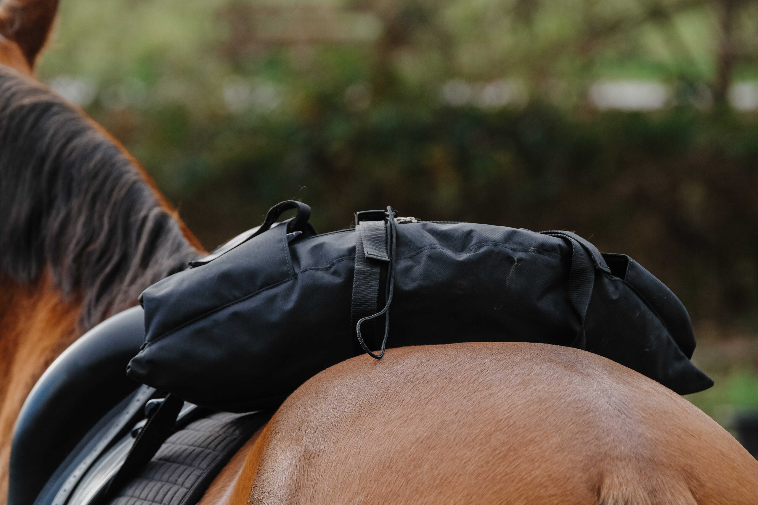 RANDOL'S Bag – Banana