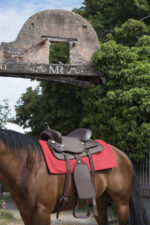 WESTRIDE Navajo saddle pad made of plain cotton/acrylic - Image 4