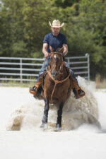 WESTRIDE hunting collar by Franck Perret - Aurora - Image 2