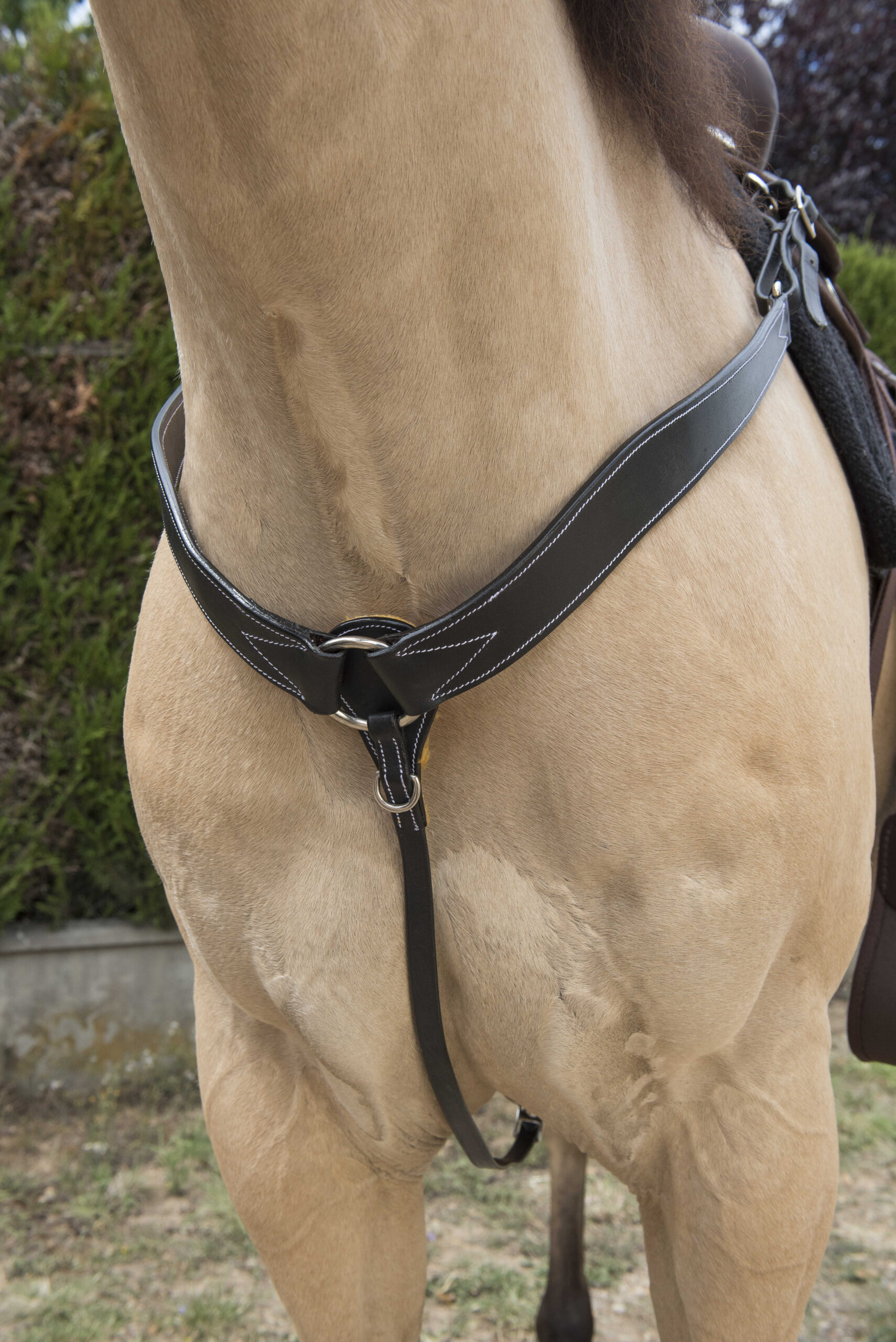 WESTRIDE Quilted Western Breastplate