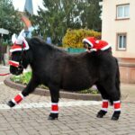 EQUITHÈME Earbonnet - Christmas - in the shape of a reindeer antler - Image 2