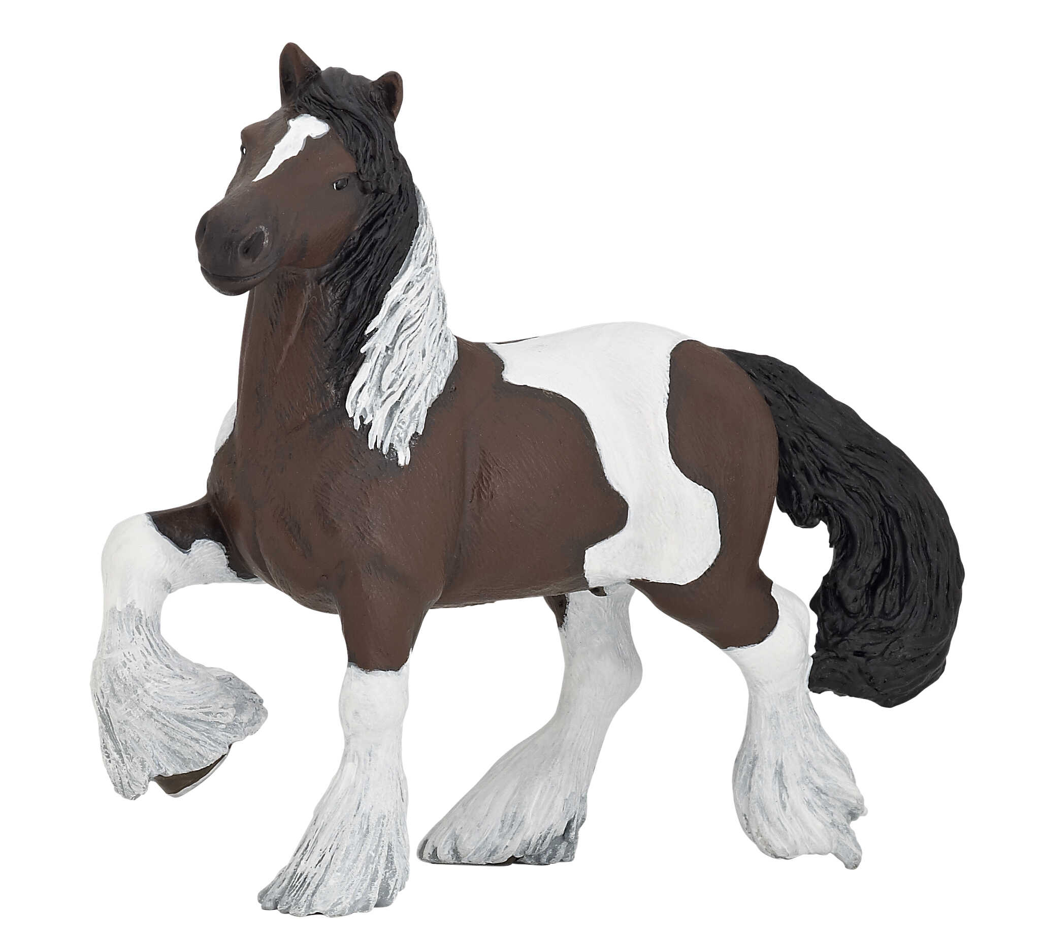 CHAT - Irish Cob braun