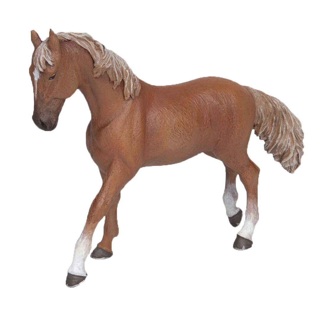 PAPO - Alezan English Thoroughbred Mare