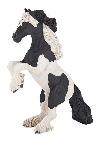 CHAT - Steigender Cob