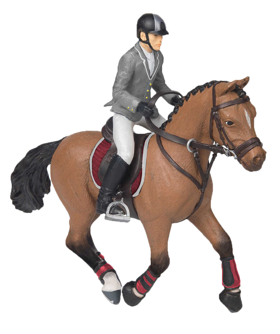 PAPO - Competition Horse & Rider