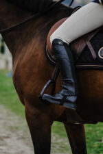 NORTON - Bright - Mini Chaps