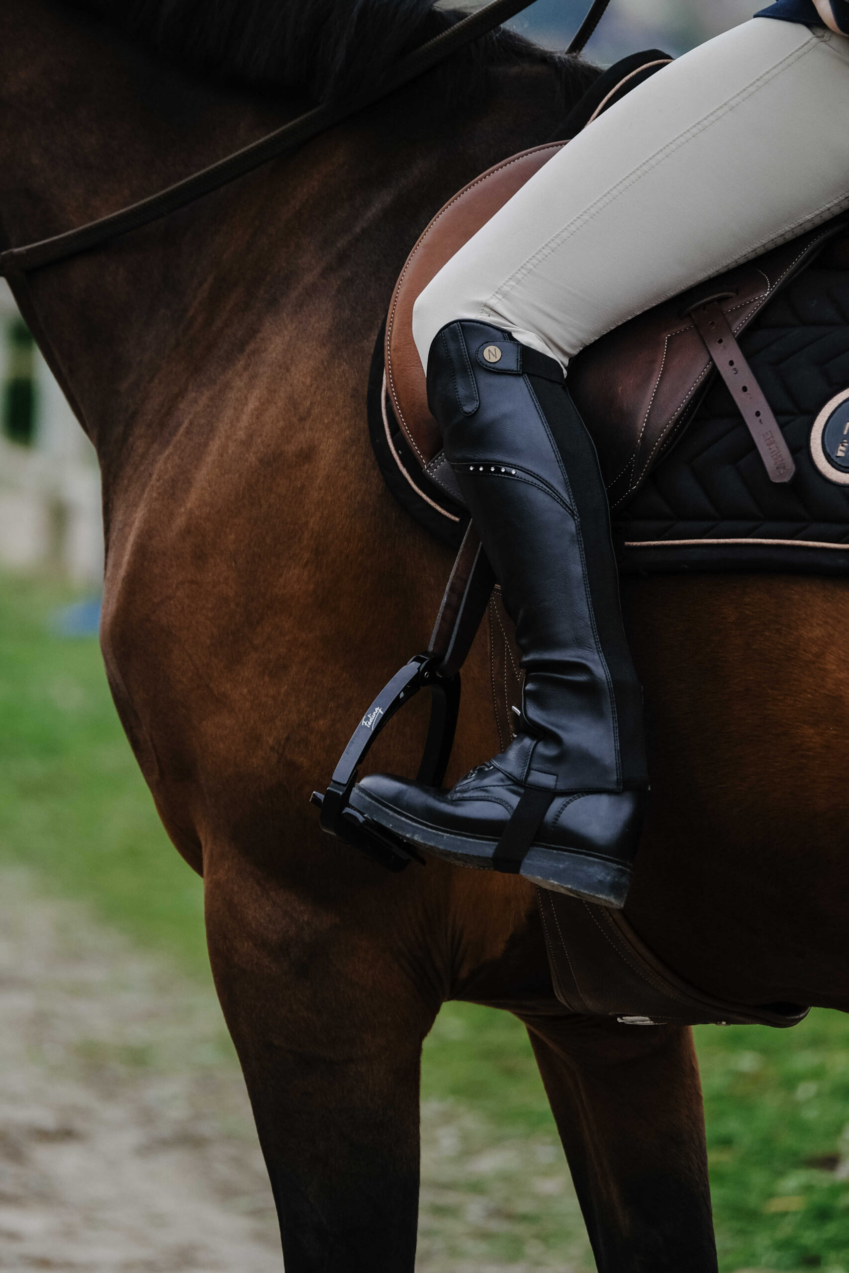 NORTON - Bright - Mini Chaps