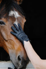 EQUITHÈME Je t'aime - Strass - Gloves - Image 7