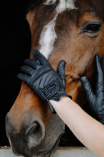 EQUITHÈME Je t'aime - Strass - Gloves - Image 8