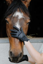 EQUITHÈME Je t'aime - Strass - Gloves - Image 10