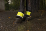 NORTON Yellow Hind Leg Bandages - Image 2