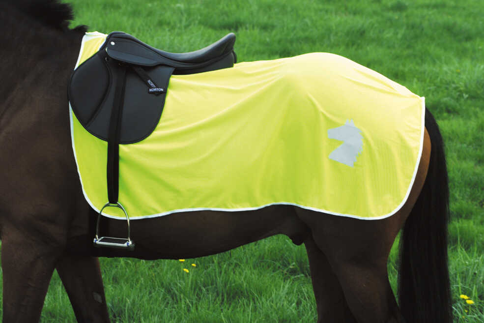 NORTON Kidney Blanket