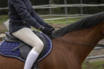 PRO SERIES “Cabrer” riding gloves - Image 4