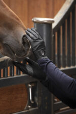 PRO SERIES "Show" Tournament Gloves