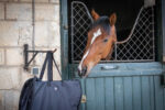 PADDOCK "Pads Bag" saddle pad bag - Image 9