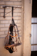 PADDOCK bridle holder - Image 3