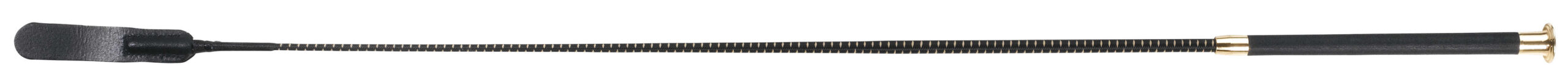 WHIP & GO Dressage Whip - Hit