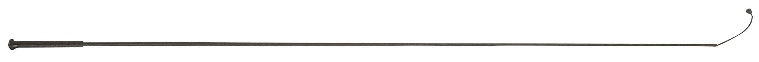 WHIP & GO driving and training whip