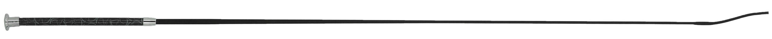 EQUITHÈME - Studies - Dressage