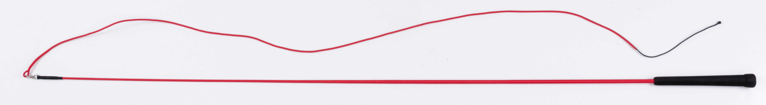 WHIP & GO lunge whip