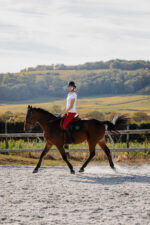 T-shirt EQUITHÈME - Claire- - Image 3